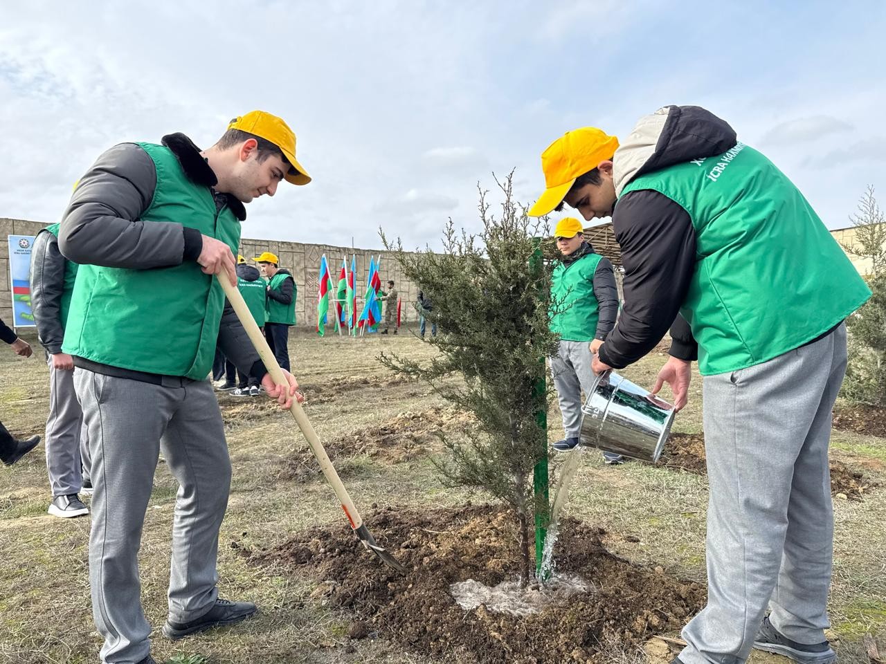Xəzər rayonunda ağacəkmə aksiyası keçirildi - FOTOLAR
